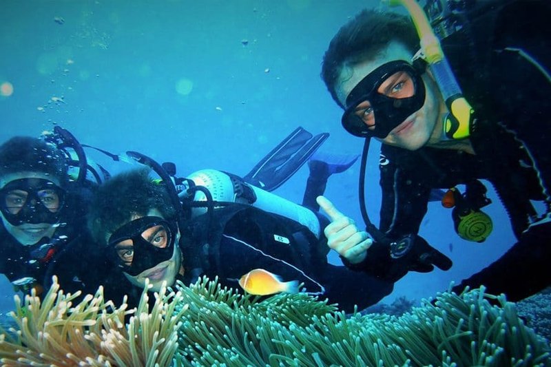 Conservation Grande Barrière Corail : quel émerveillement !