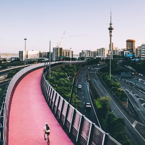 Auckland : autoroute cyclable